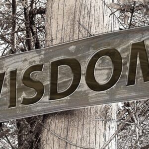 Accounting for Decision Making